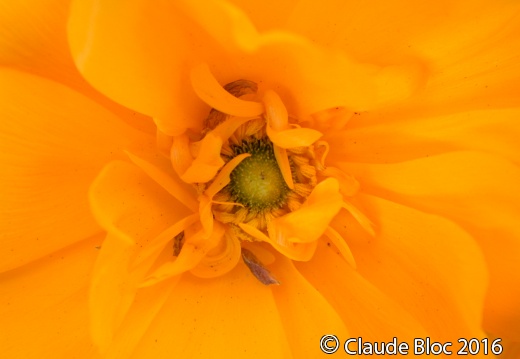 Couleur...